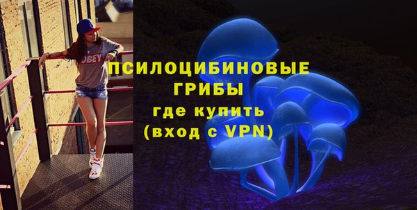 мяу мяу мука Анива