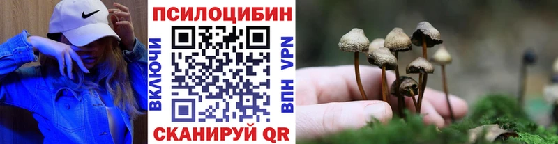 Псилоцибиновые грибы Psilocybine cubensis Харовск